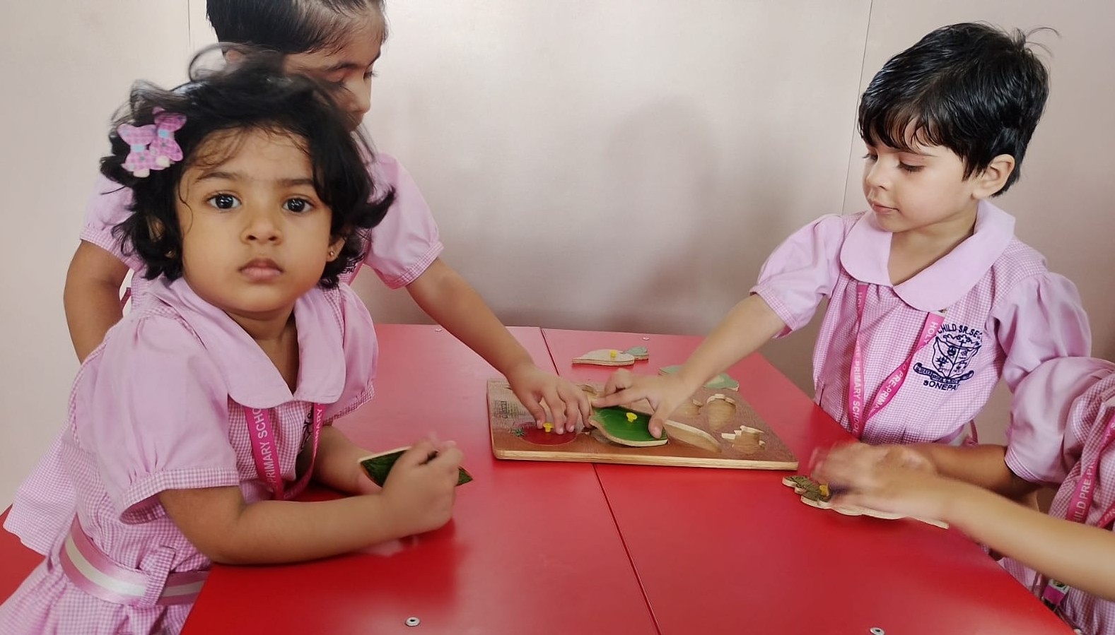 Puzzle Activity Pre-Primary