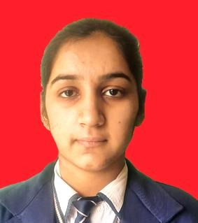 Ananya (1st District Topper in Commerce Stream)